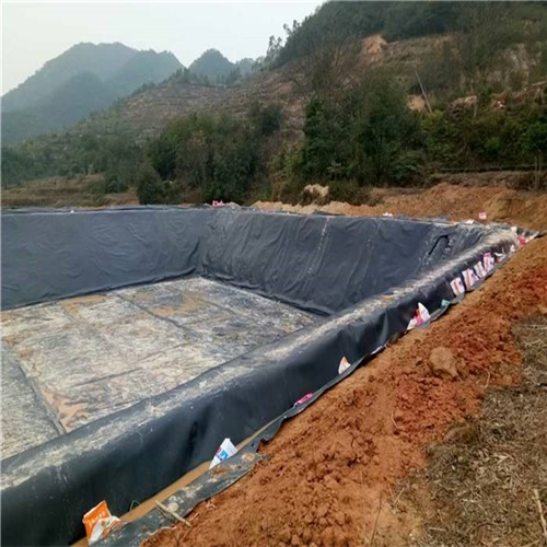 您了解魚塘防滲膜施工方法有哪些嗎?